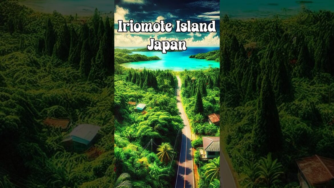 Ultimate Guide to Iriomote Island in Japan: Okinawa's Best Kept Secrets