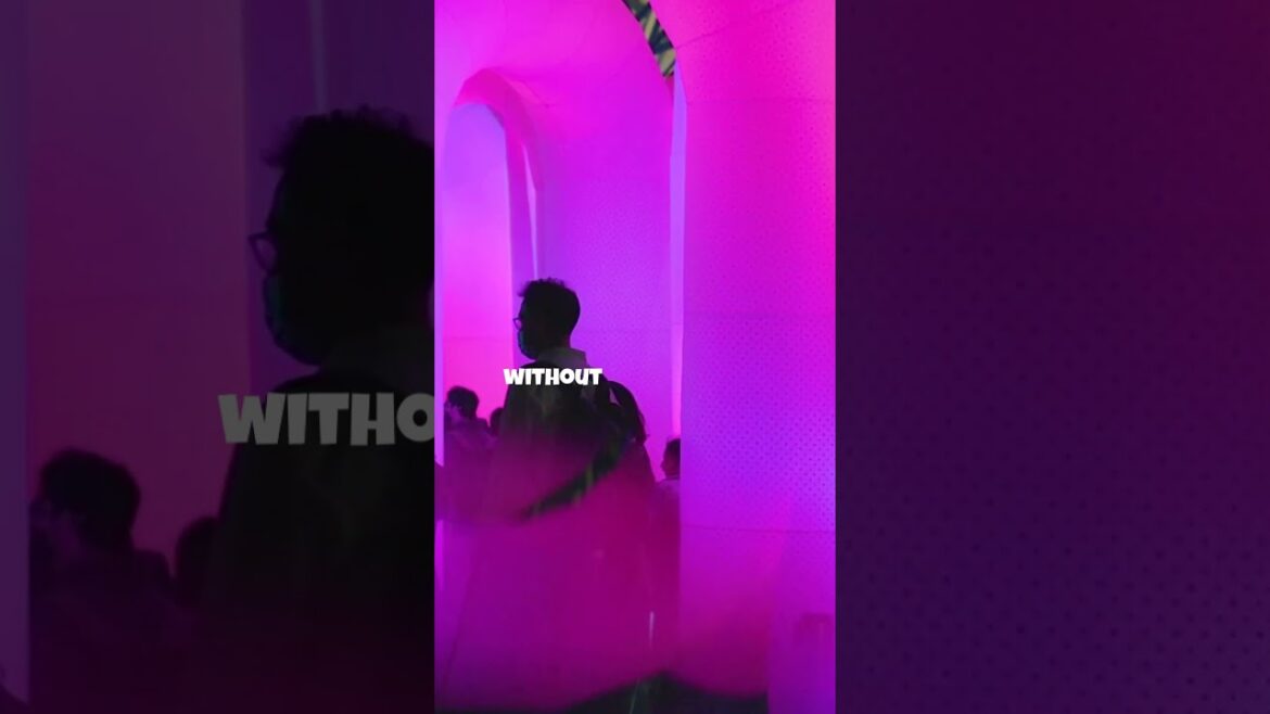 Top 3 Things to Do in Tokyo 2024!