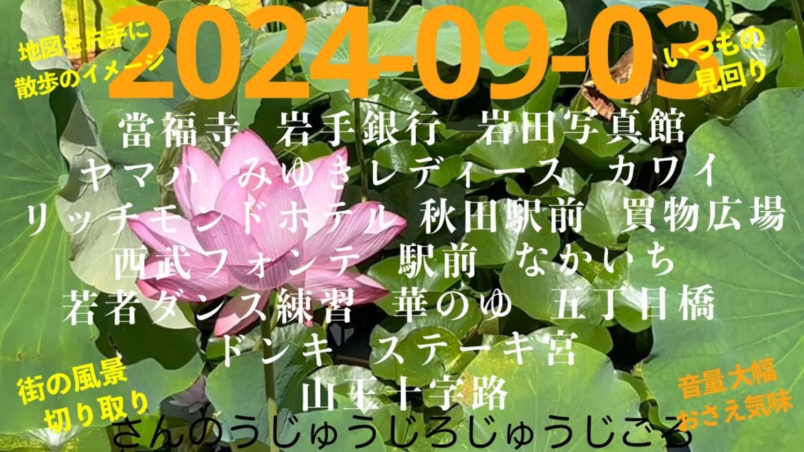 2024-09-03さんのうじゅうじろじゅうじごろ