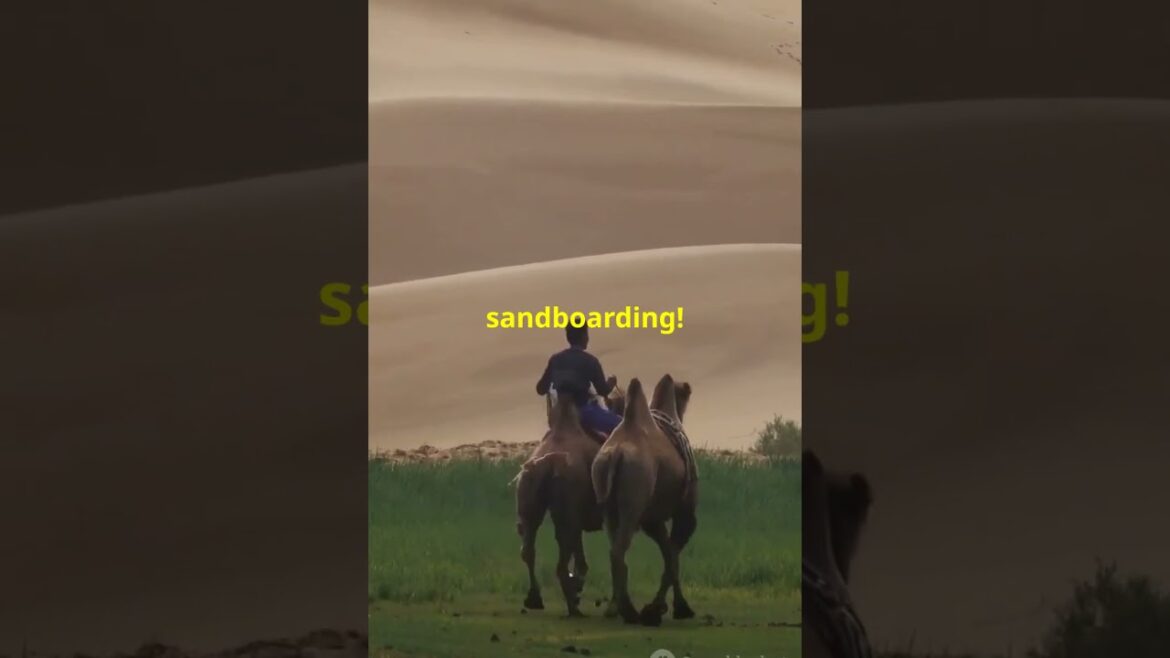 Discover Japan: Unveiling Hidden Gems in Every Corner! π―π΅β¨ #youtubeshort #travel #facts Discover Japan: Unveiling Hidden Gems in Every Corner! π―π΅β¨ #youtubeshort #travel #facts