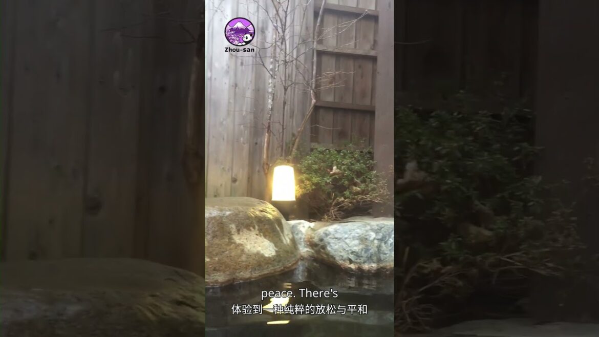 Winter Bliss: Experiencing a Traditional Japanese Onsen in Snowy Nagano |冬日极乐:长野雪中露天温泉 #onsen #japan Winter Bliss: Experiencing a Traditional Japanese Onsen in Snowy Nagano |冬日极乐:长野雪中露天温泉 #onsen #japan