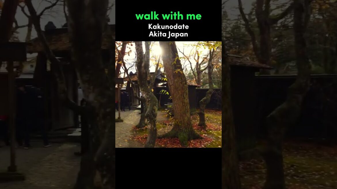 Walk With Me in Kakunodate | Akita Japan Walking Tour