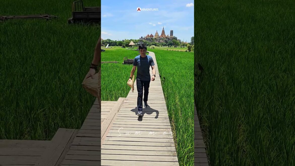 Seasons... What's your favorite?#winter #spring #summer #autumn #bini #salaminsalamin