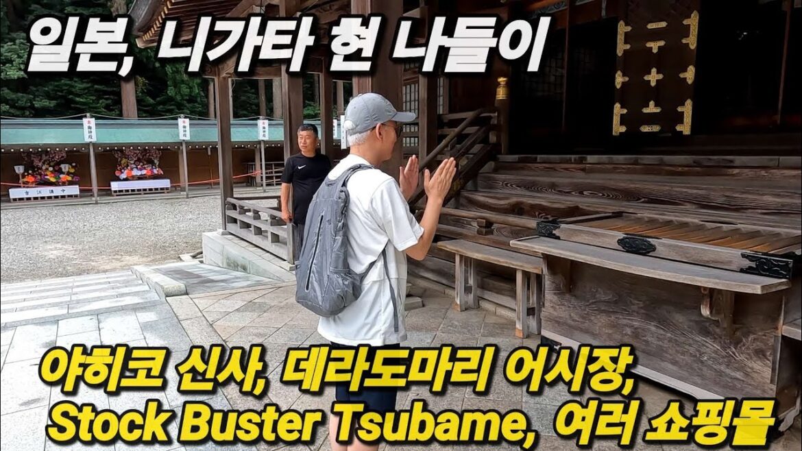 일본 니가타 현 나들이 / 야히코 신사, 데라도마리 어시장, 그리고 쇼핑 또 쇼핑 일본 니가타 현 나들이 / 야히코 신사, 데라도마리 어시장, 그리고 쇼핑 또 쇼핑