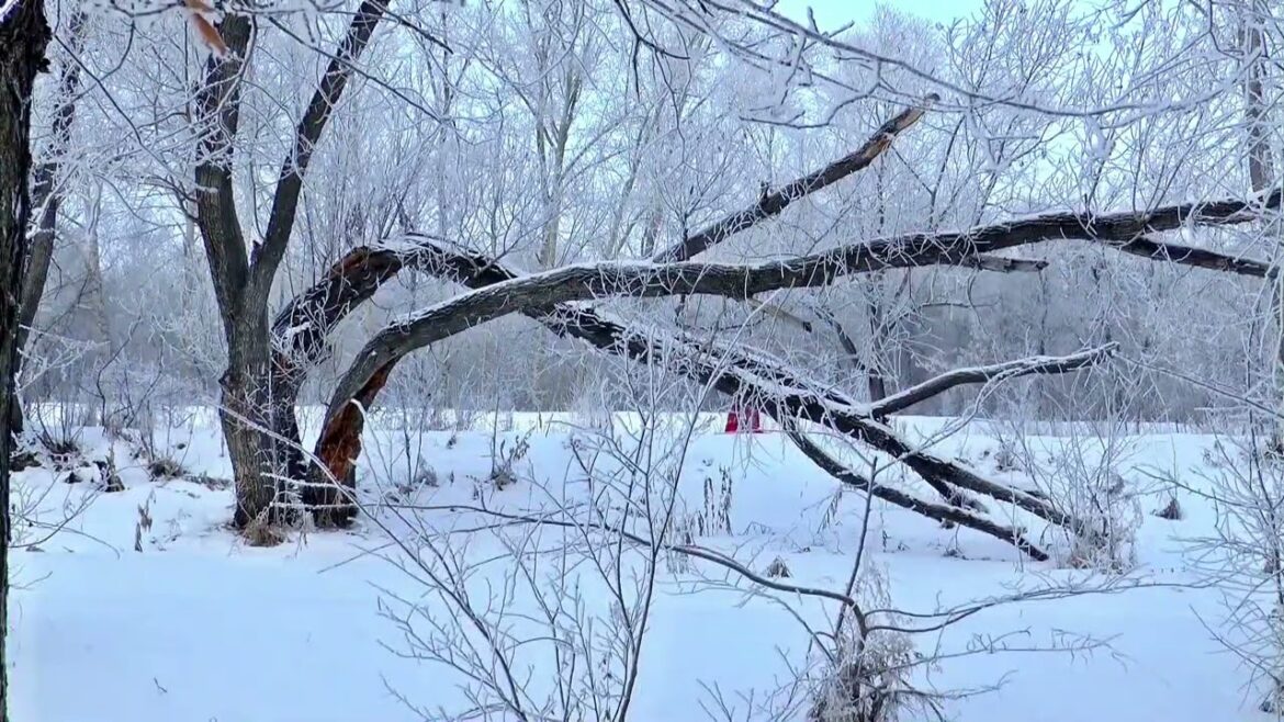 travel video ||travel vlog || fun travel ideas || japan travel vlog ||best japan travel ideas