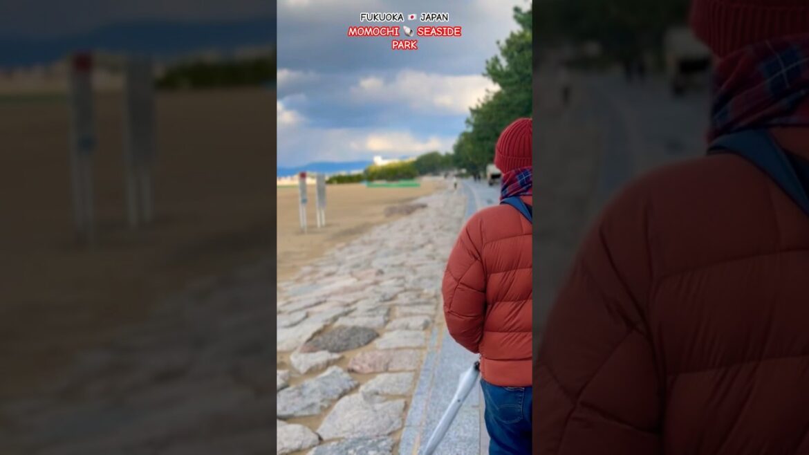 MOMOCHI SEASIDE PARK π―π΅ Fukuoka’s Coastal Gem MOMOCHI SEASIDE PARK π―π΅ Fukuoka's Coastal Gem