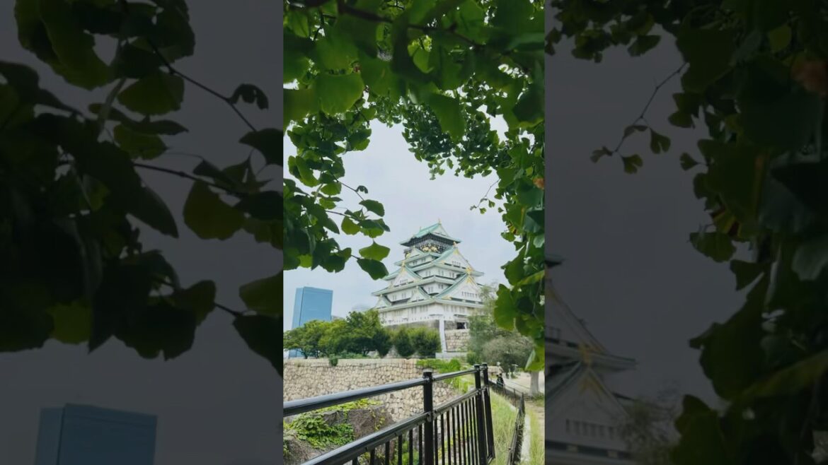 📍Osaka Castle | Where history and beauty unite| Japan 🇯🇵 #shorts #travel #viralvideo 📍Osaka Castle | Where history and beauty unite| Japan 🇯🇵 #shorts #travel #viralvideo