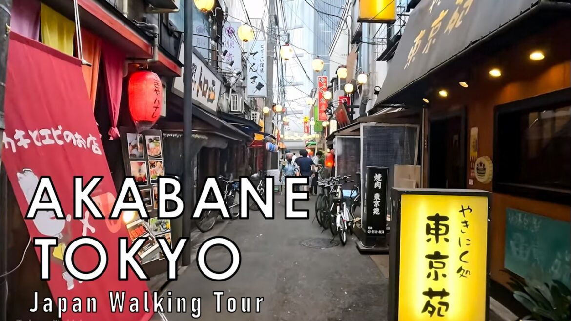 Walking tour in Akabane Japan:Tokyo Day Trip