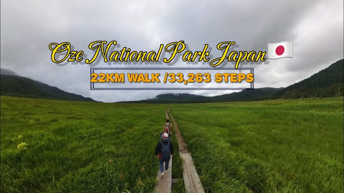 Exploring the Beauty of Oze National Park, Japan 🇯🇵🌿