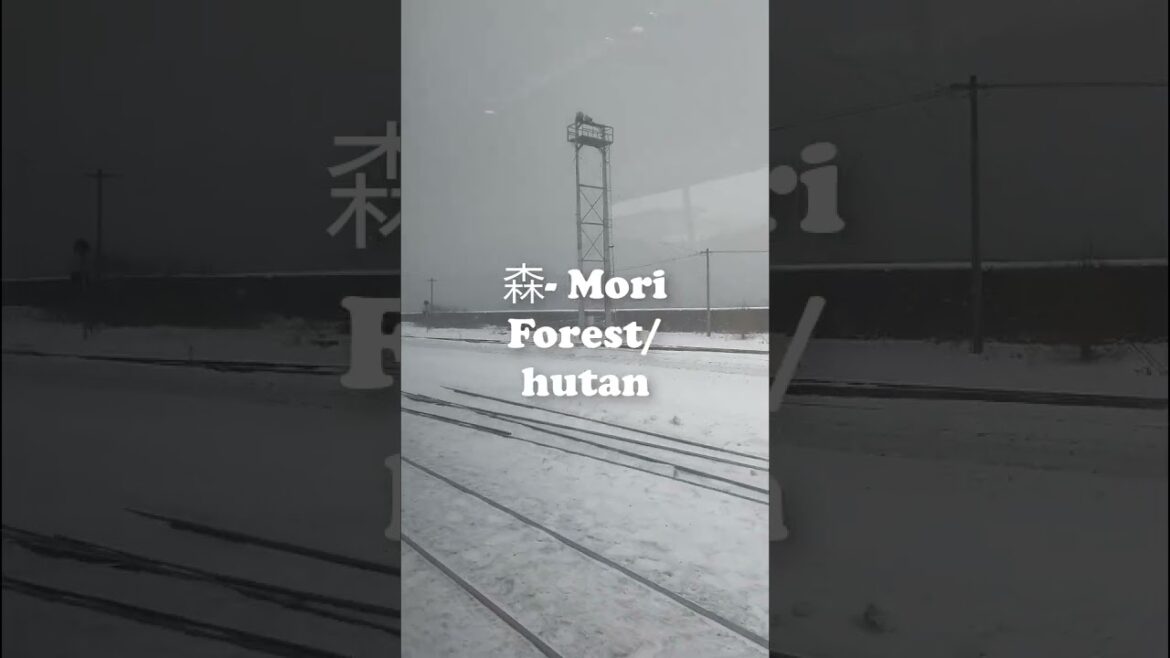 Travelling from hakodate to sapporo via train | Passing through Mori Station | Coastal Sea Scenery Travelling from hakodate to sapporo via train | Passing through Mori Station | Coastal Sea Scenery