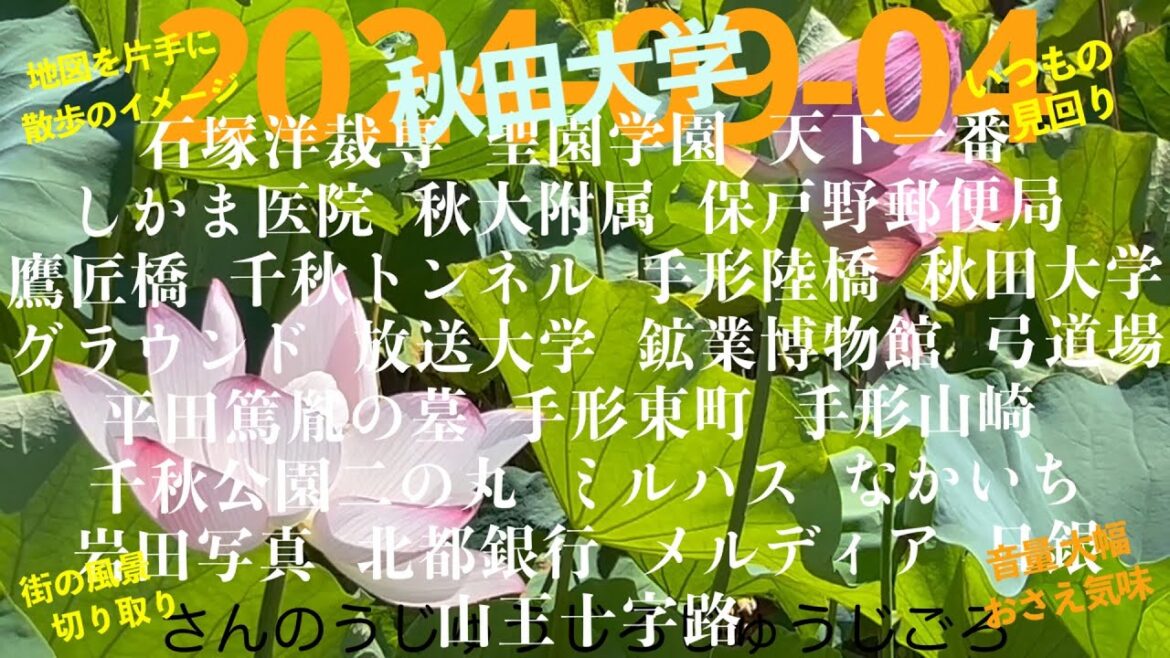 2024-09-04さんのうじゅうじろじゅうじごろ