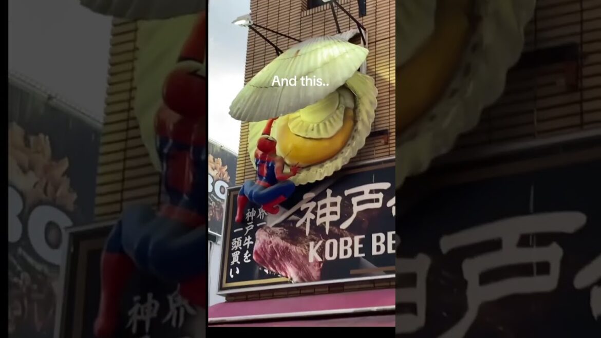 Osaka! #japan #japantravel #osaka Osaka! #japan #japantravel #osaka