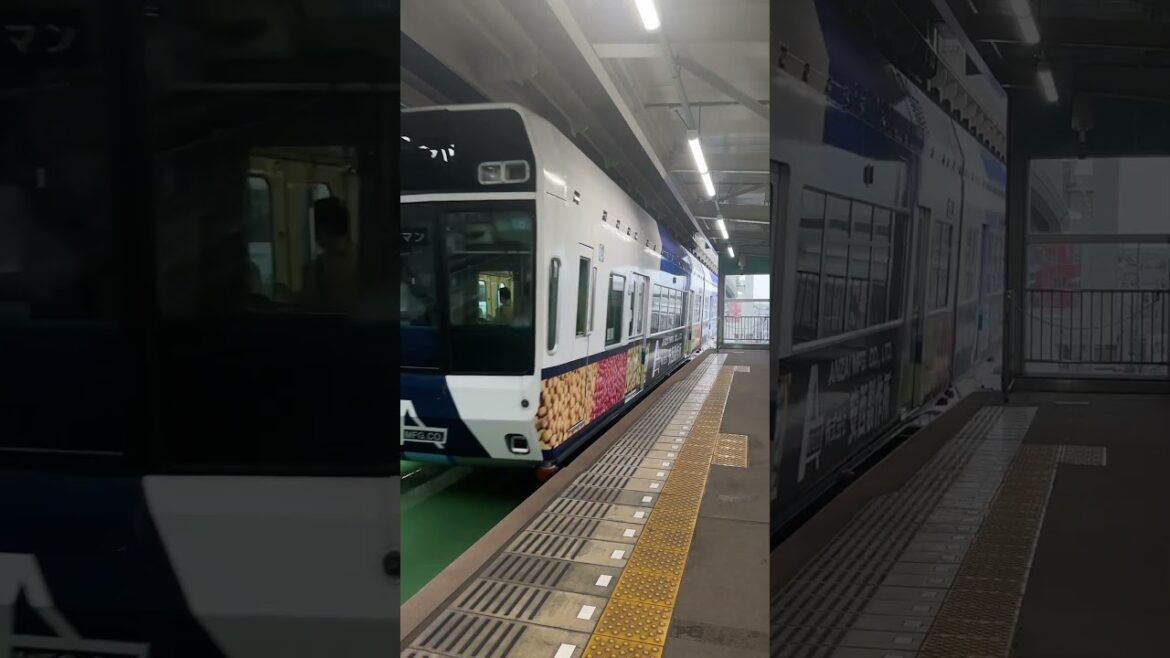 A train with no wheels, the Chiba City Monorail. The longest suspended monorail in the WORLD!