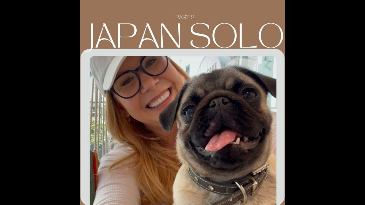 Tokyo Alone Changed My Life: Part 2