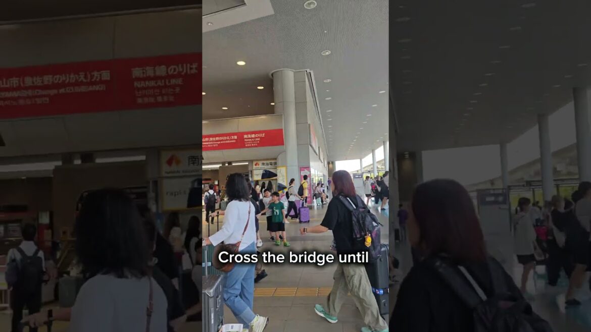 🌸 Cute hello Kitty train! How to travel from Osaka to Kyoto? Kansai International Airport (Part 1)