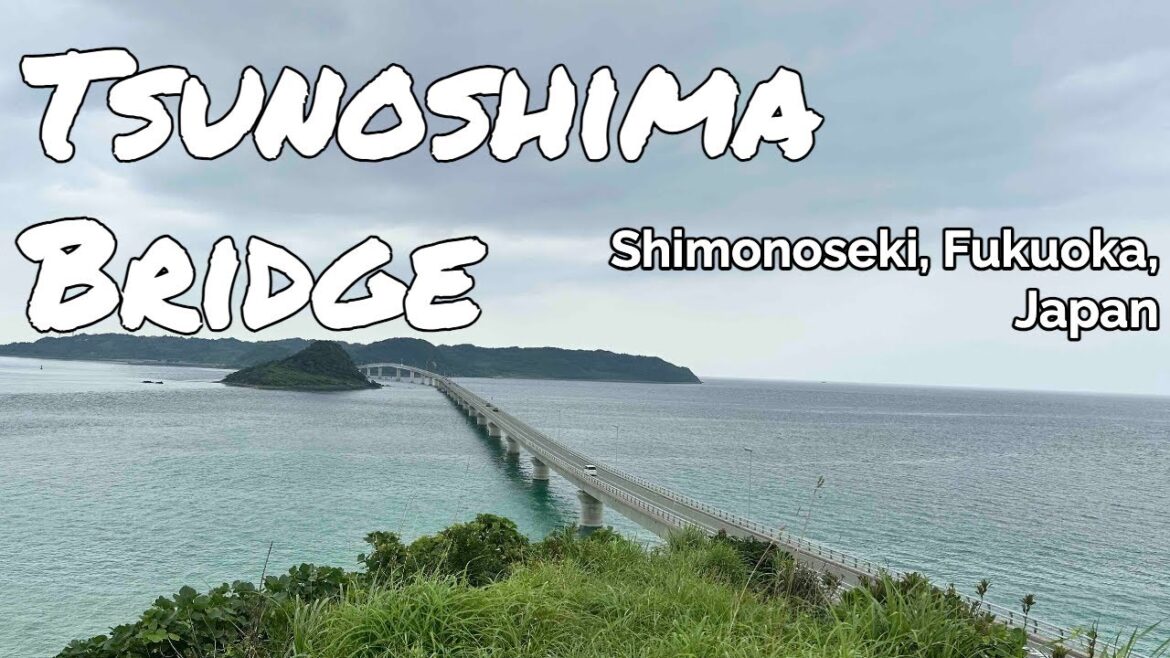 TSUNOSHIMA BRIDGE #tsunoshimaBridge #shimonoseki #japan #TaraAnythingGoes