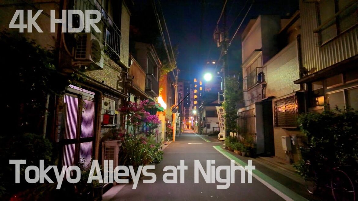 Tokyo Alleys at Night: A Nostalgic Walk Through Japan’s 2nd Oldest Shopping Arcade | 4K/HDR
