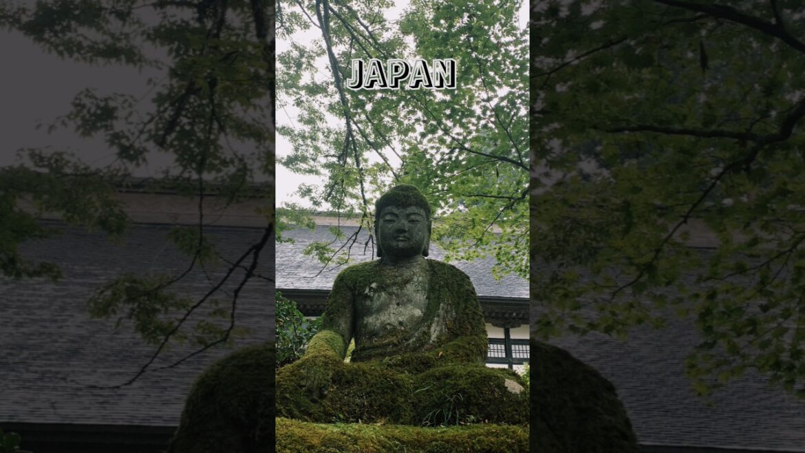 Temple in the Forest #japan #niigata