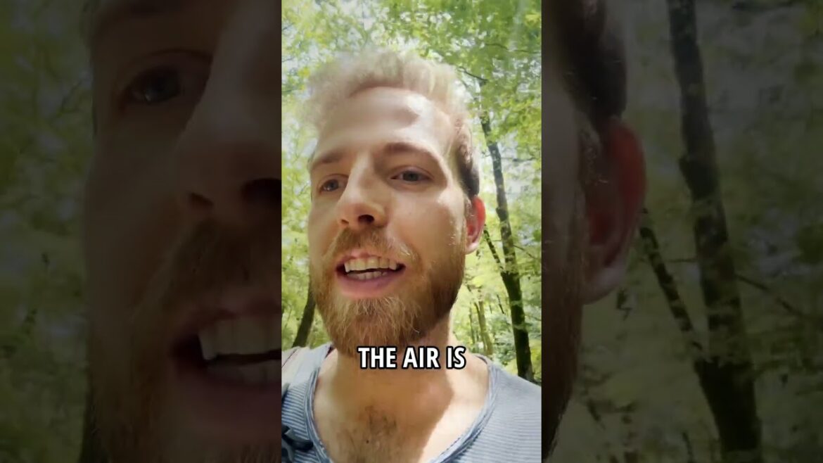 My Secret Oasis in Kyoto, Japan 🌿✨ My Secret Oasis in Kyoto, Japan 🌿✨