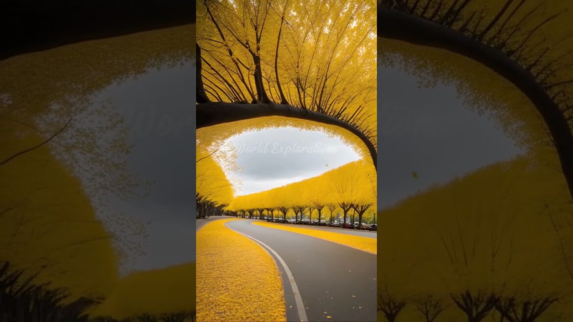 π DISCOVER THE MOST SURREAL PLACES IN JAPAN, SOUTH KOREA AND CHAINA! π #travel #adventure #shorts π DISCOVER THE MOST SURREAL PLACES IN JAPAN, SOUTH KOREA AND CHAINA! π #travel #adventure #shorts