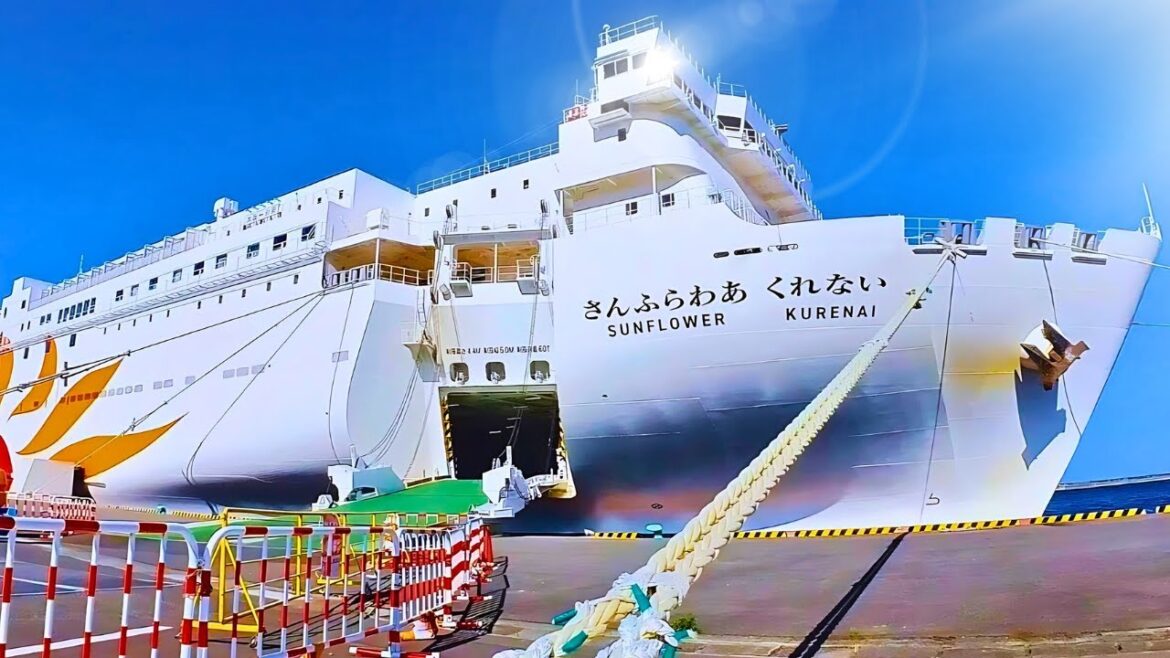 Japan’s Overnight Capsule Ferry ⚓ 12 Hour Travel from OSAKA to BEPPU Japan's Overnight Capsule Ferry ⚓ 12 Hour Travel from OSAKA to BEPPU