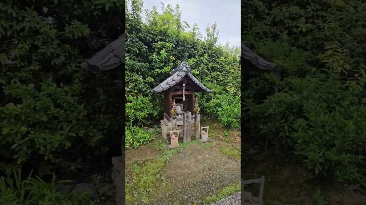 Exploring the Serenity of Japanese Temples 🏯✨ #japan #japaneseculture #japanvlog #japantrip Exploring the Serenity of Japanese Temples 🏯✨ #japan #japaneseculture #japanvlog #japantrip