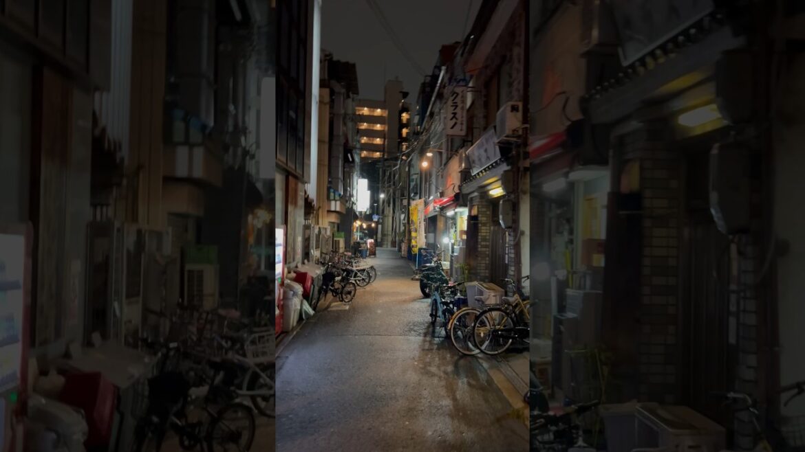 OSAKA JAPAN STREET VIEW🇯🇵 #shorts #japan #osaka