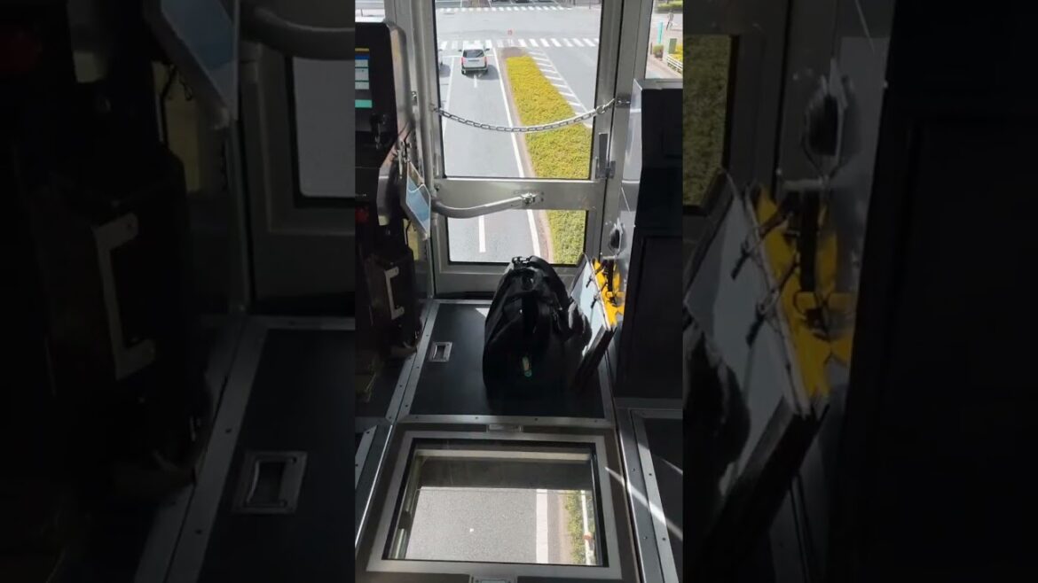 Japan has a floating monorail and it's what dreams are made of