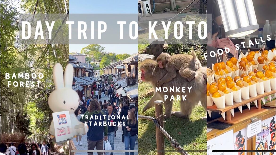 Kyoto day trip vlog | lots to do, see, and eat