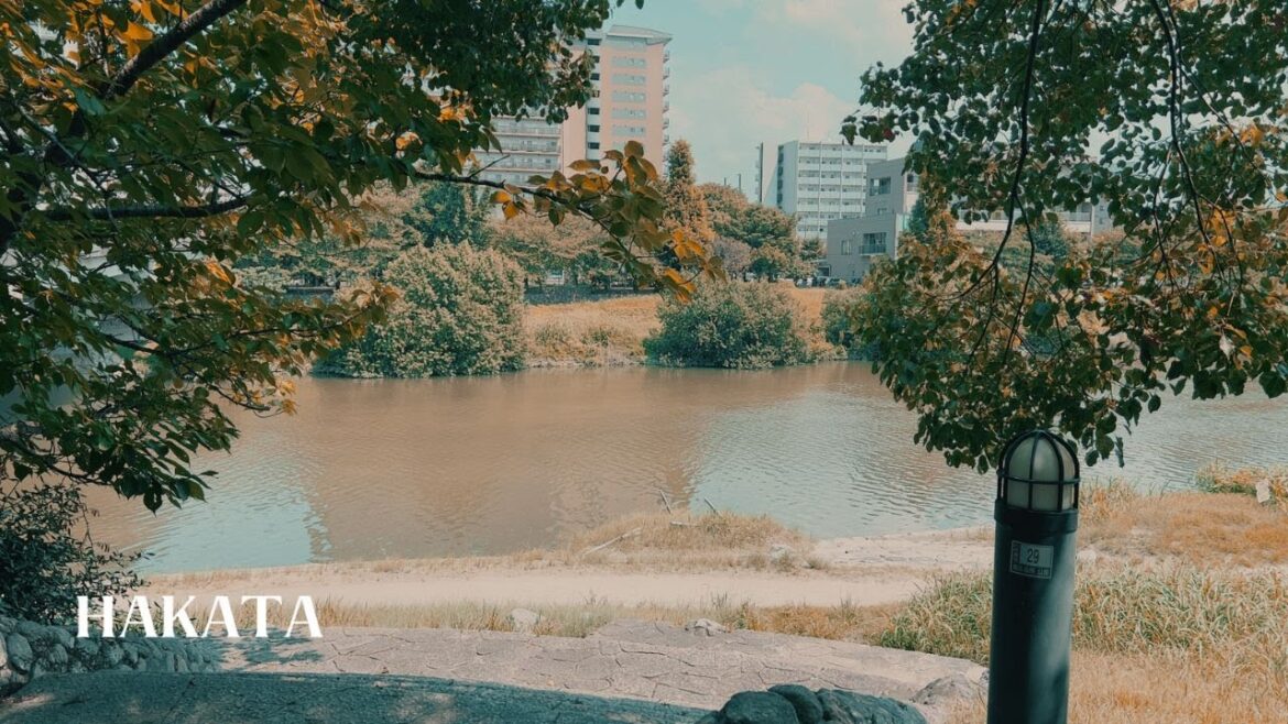 Unlock Japan: Stunning 【4K HDR】 Cycling Tour in Hakata – Experience the Hidden Gems! Unlock Japan: Stunning 【4K HDR】 Cycling Tour in Hakata – Experience the Hidden Gems!