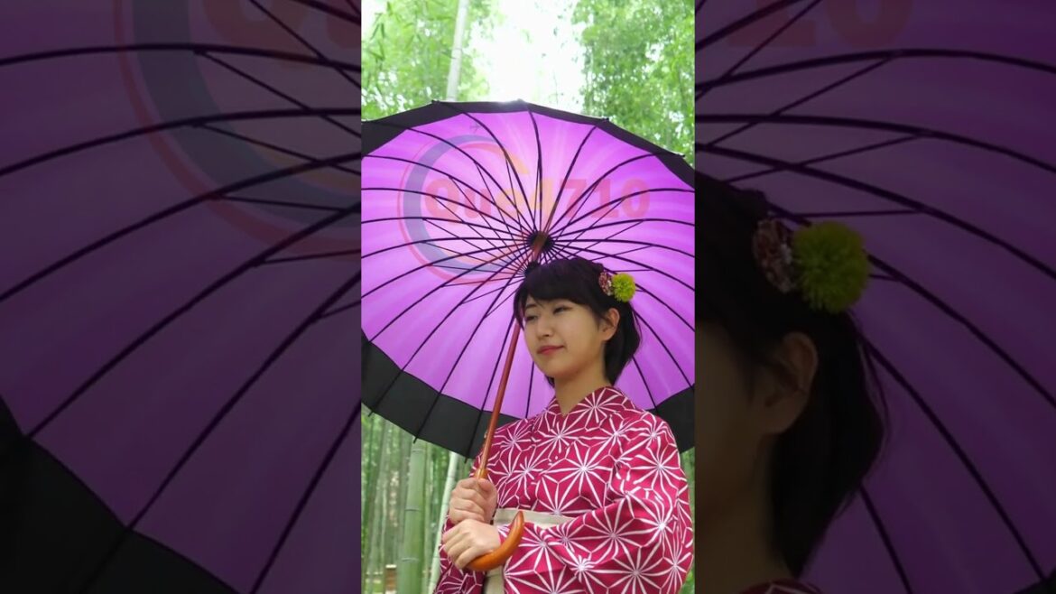 Exploring Kyoto, Japan | Rich Culture and Hidden Gems! #shorts2024 #japan #kyototravel