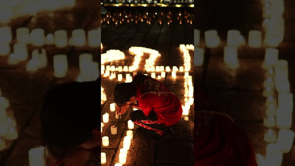 Exploring Koyasan: Japan's Hidden Gem | Must-See Travel Destination in 2024 高野山