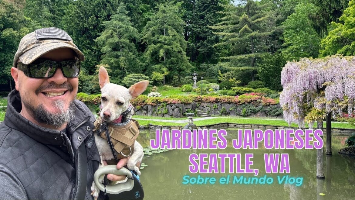 Jardines Japoneses de Seattle, Washington #viajes #vlog #japon #seattle #viaje #Viajero #travel