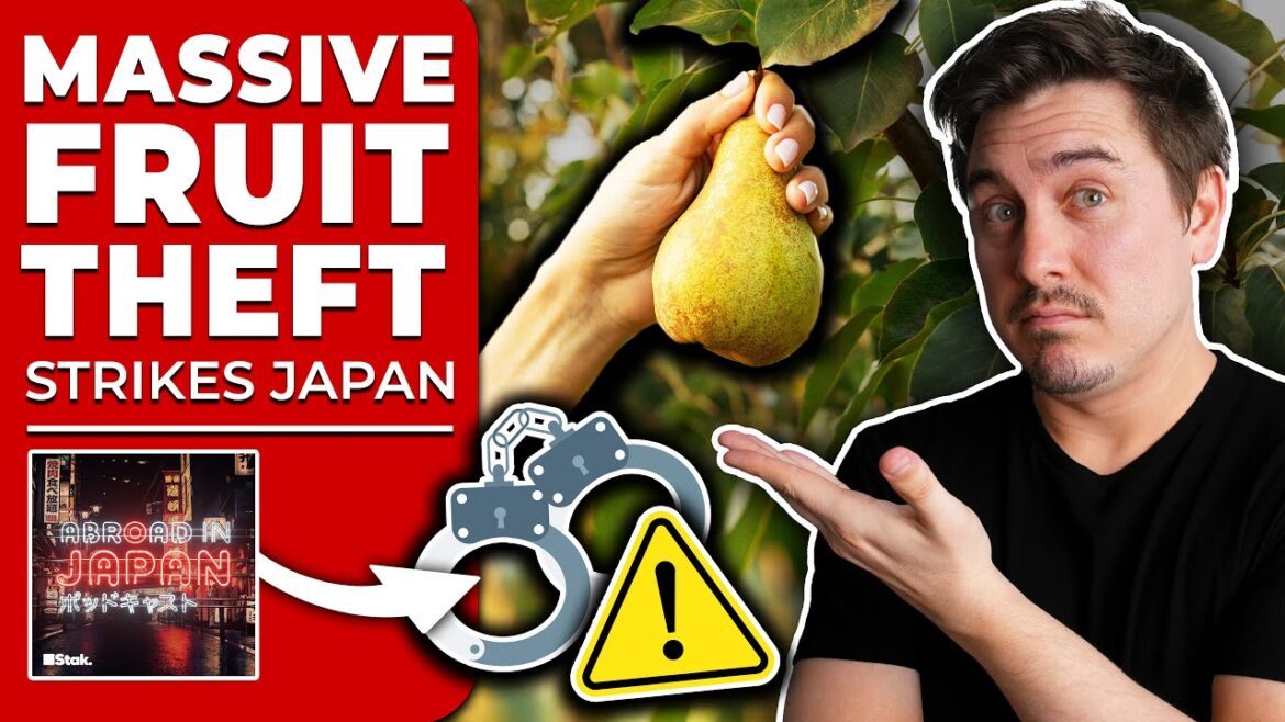 Japanese Police Arrest Man For Stealing 3,000 Pears in 24 Hours | @AbroadinJapan #106 Japanese Police Arrest Man For Stealing 3,000 Pears in 24 Hours | @AbroadinJapan #106