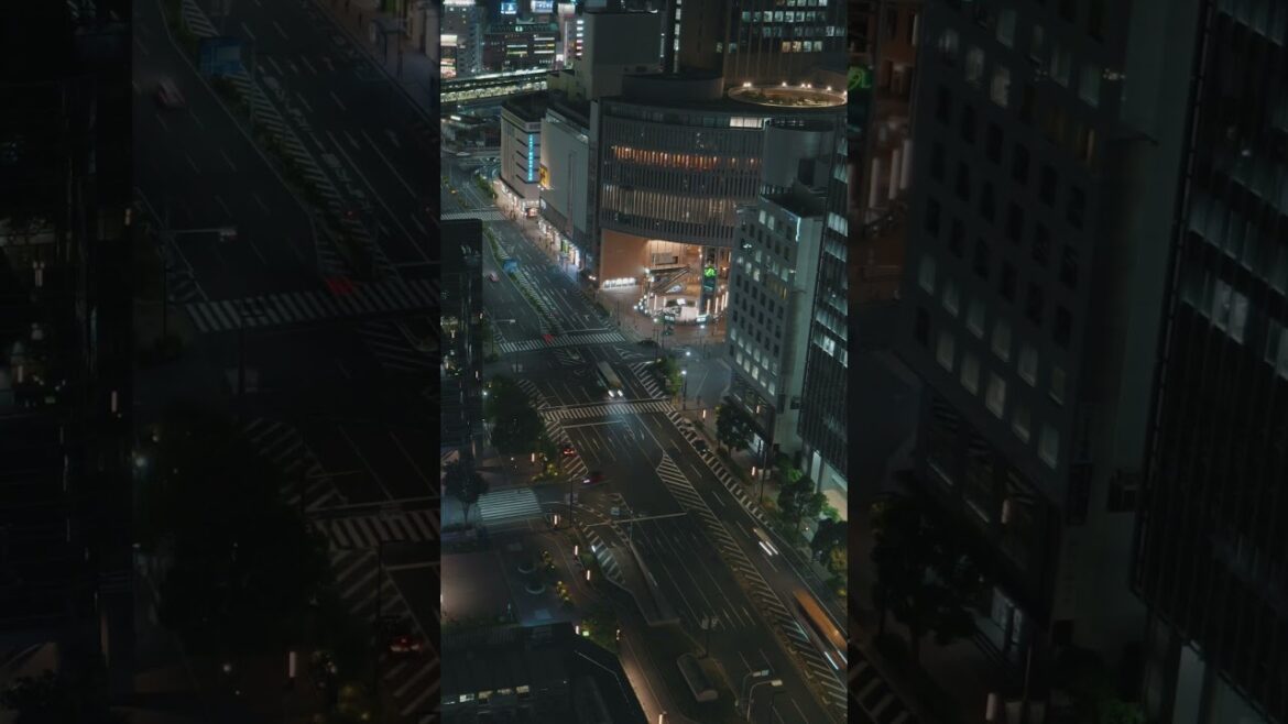 神戸市役所24階展望ロビー #タイムラプス #gh6