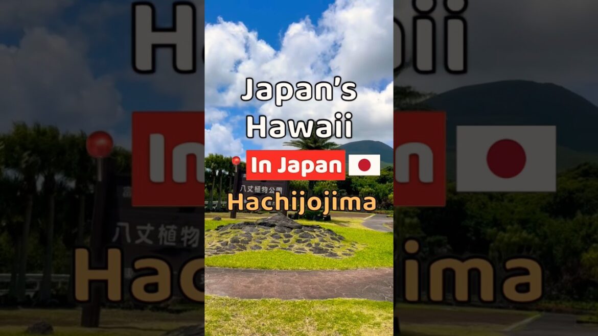 Tokyo’s Hidden Pacific Island | HACHIJOJIMA Island🇯🇵Japan’s Hawaii #shorts #Japan #hachijojima Tokyo's Hidden Pacific Island | HACHIJOJIMA Island🇯🇵Japan’s Hawaii #shorts #Japan #hachijojima