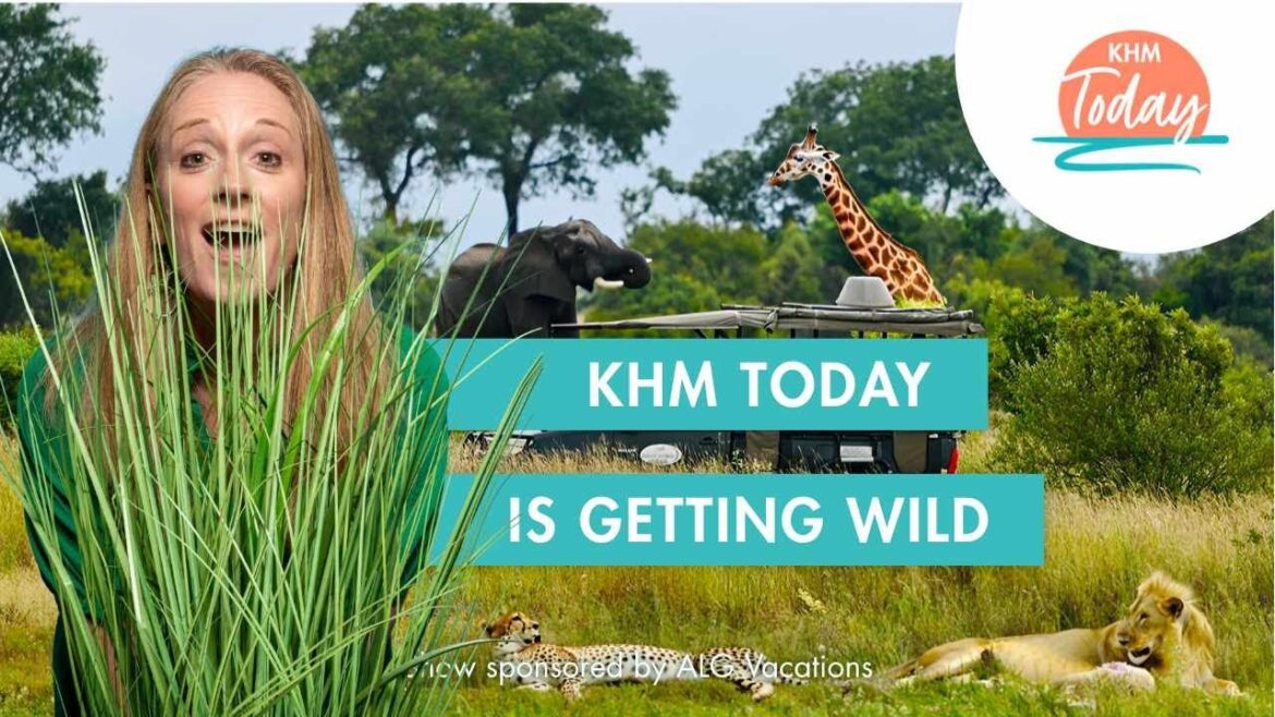 Take the Trip of a Lifetime | KHM Today (S15 E9)