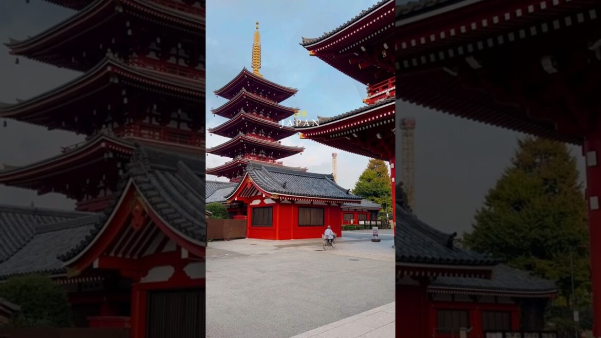 This Is For Japan 🎌🇯🇵🇯🇵❤️ #travel #top10 #top5