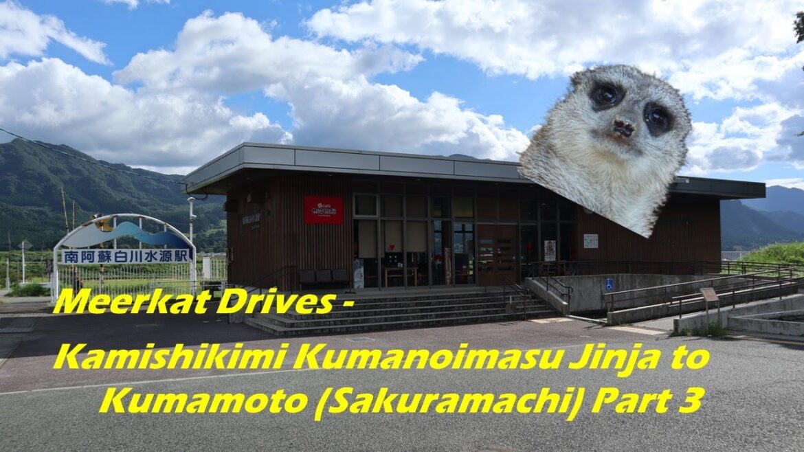 Meerkat Drives - Kamishikimi Kumanoimasu Jinja (上色見熊野座神社) to Kumamoto (熊本) Part 3 (05/09/2023)