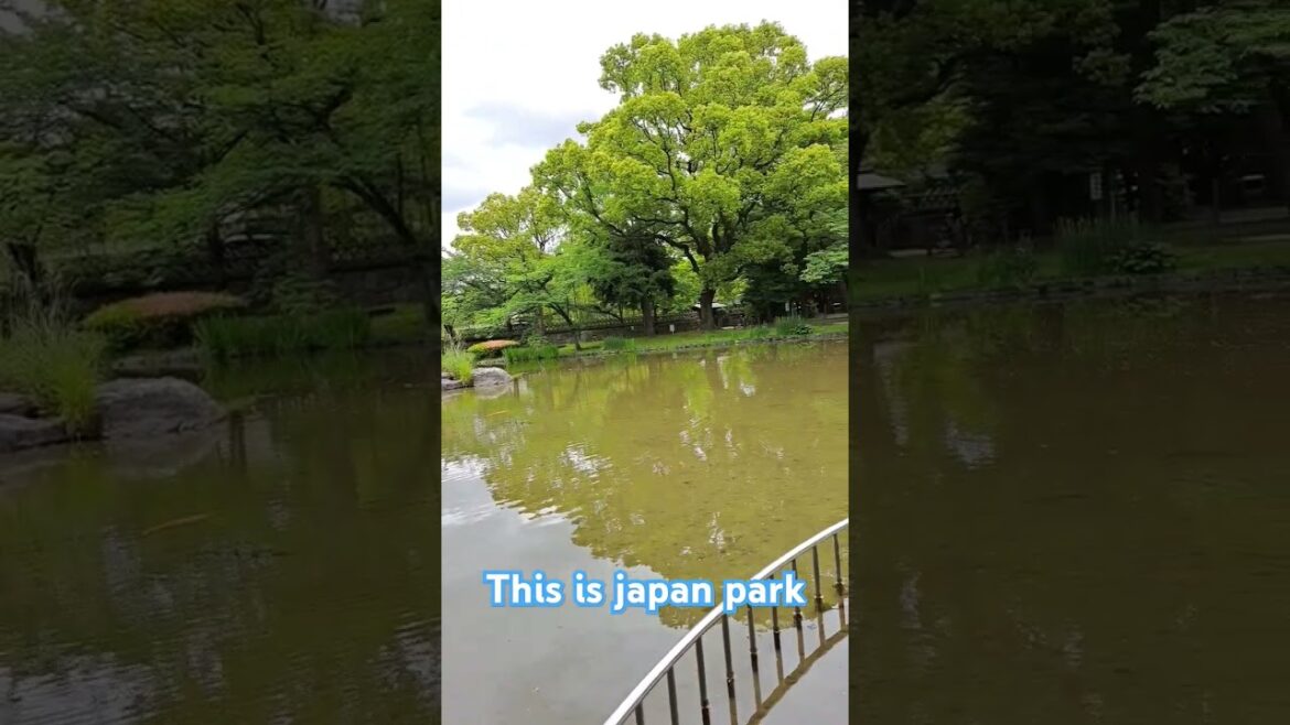 What do you think about japan #japan #fypシ゚viral  #travel   pleas subscribe