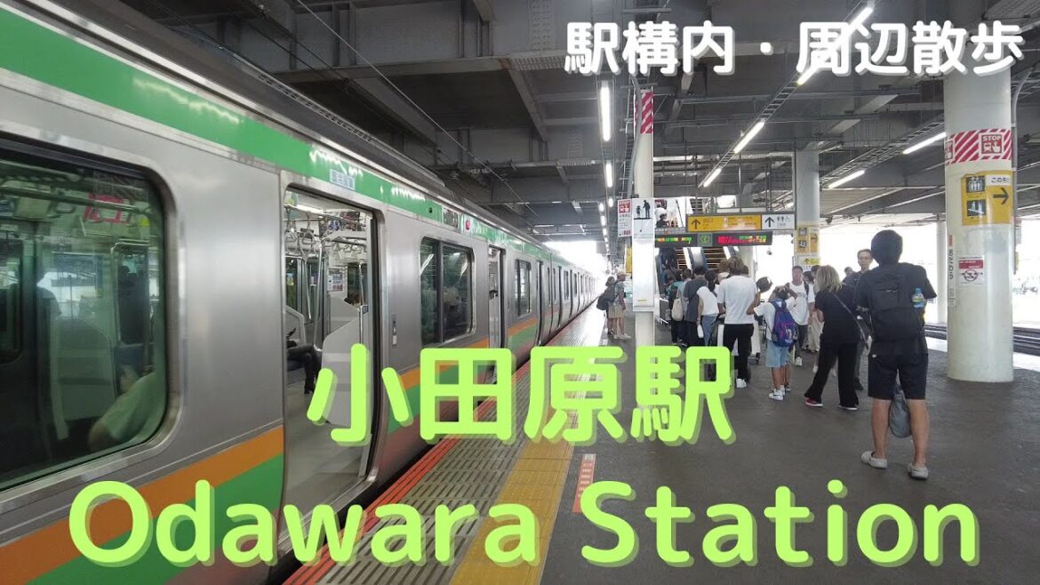 Take a walk in and around Kanagawa Odawara Station 小田原駅構内・周辺を散歩 Take a walk in and around Kanagawa Odawara Station 小田原駅構内・周辺を散歩