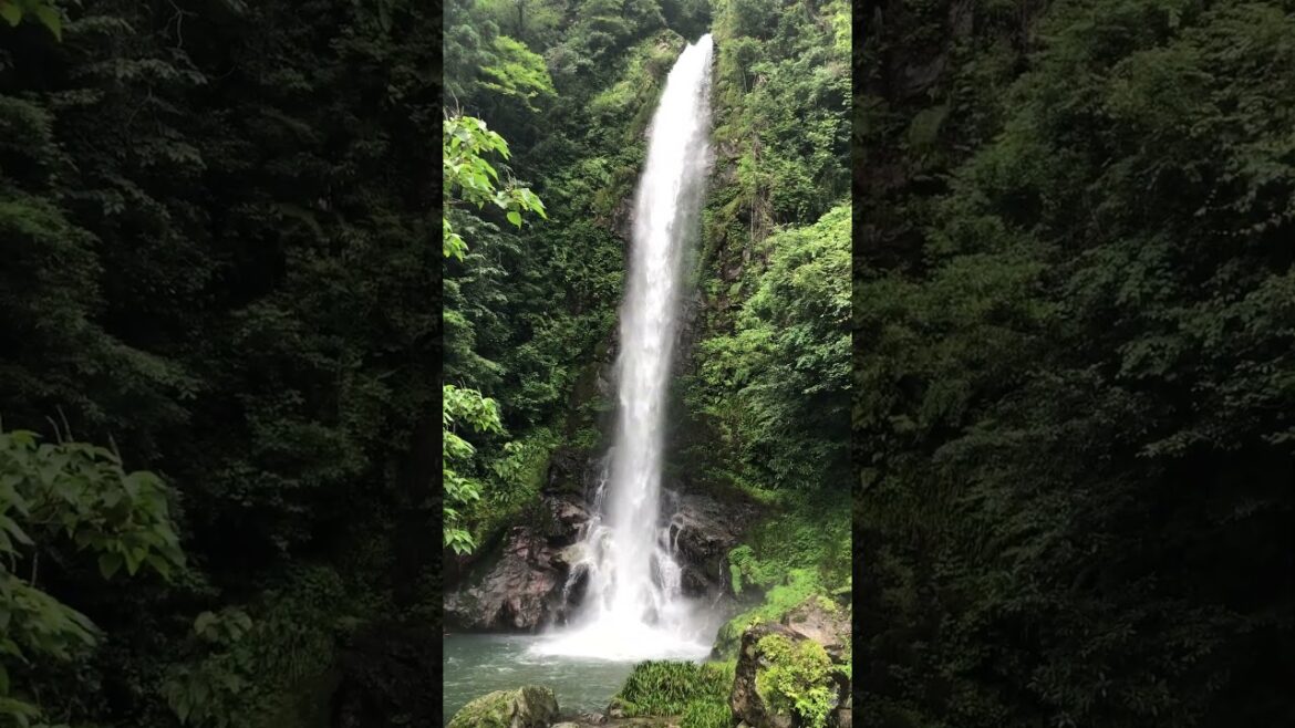 Must see waterfall in Japan! #shorts