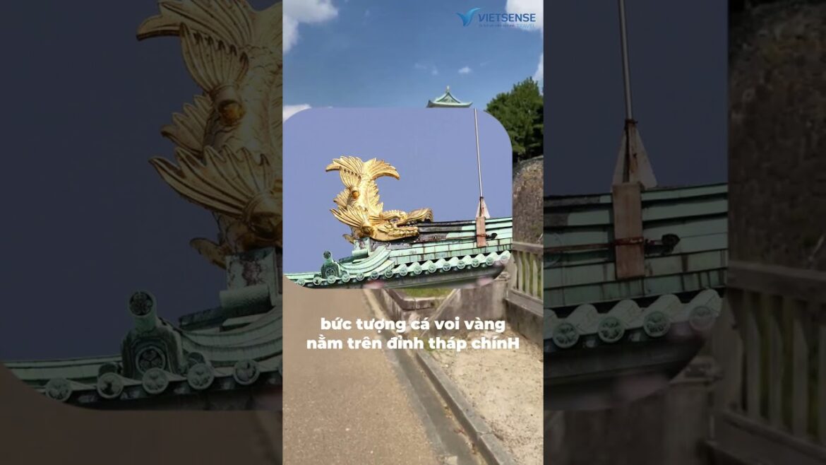 Khám Phá Lâu Đài Nagoya – Biểu Tượng Quyền Lực Của Nhật Bản #travel #shoetsvideo