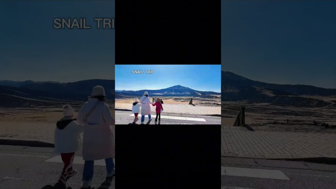 Teaser Snail Trip Ep3