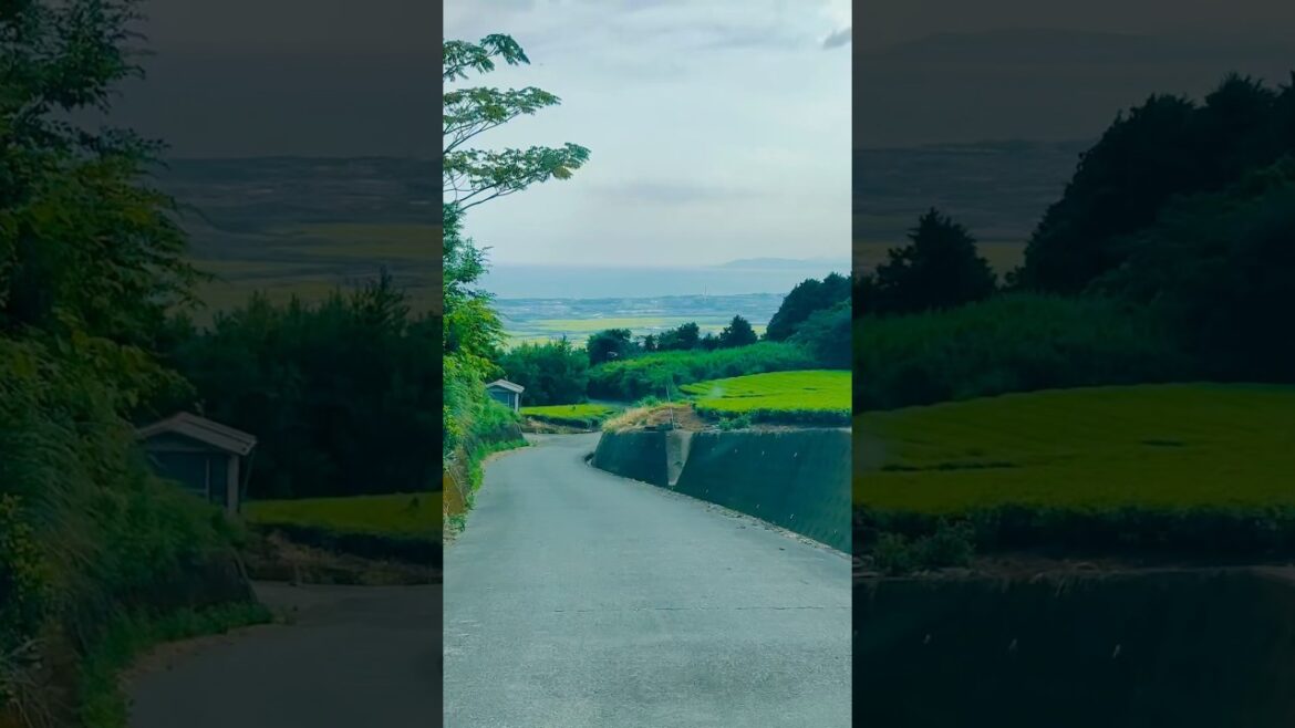 Shizuoka 💚🌿#japan #shorts #sana