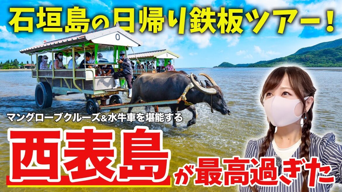 【沖縄・西表島】石垣島から日帰りで楽しむ西表島王道ツアーが最高すぎた！マングローブクルーズ＆水牛車を堪能する女ひとり旅！