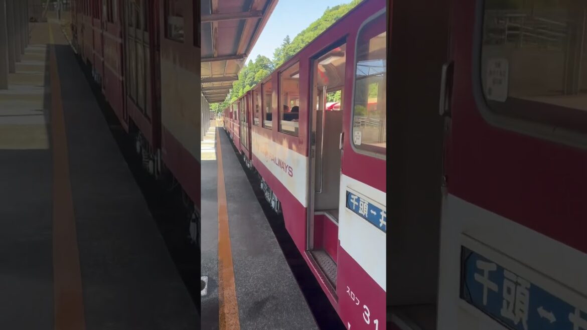 Oigawa Railways, Shizuoka, Japan #japan #japaneserailway #train #visitjapan #japanrailway
