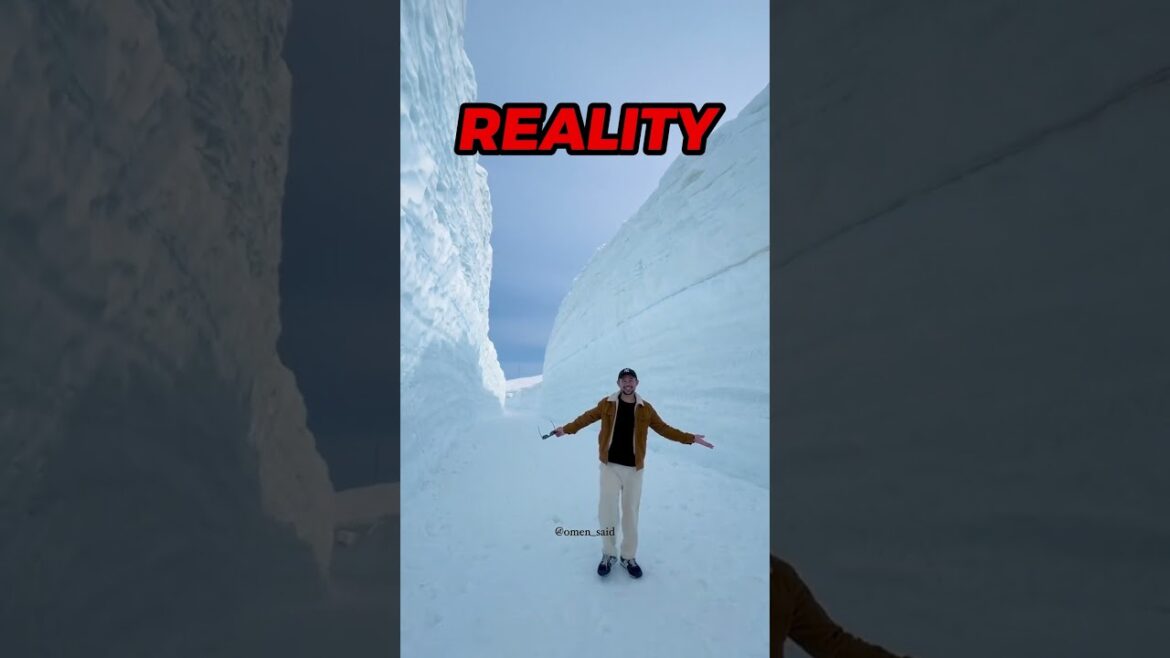 Social Media vs Reality Japan Edition🇯🇵 #shorts