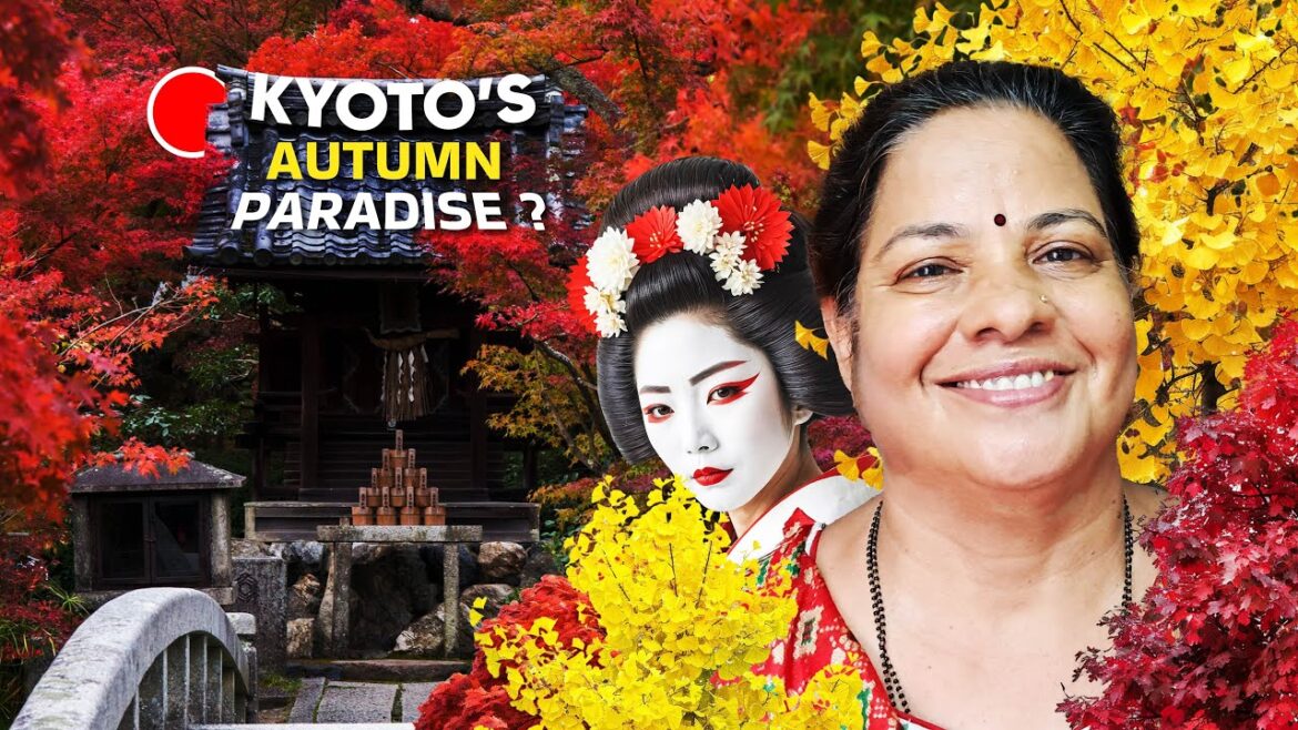 KYOTO TRAVEL GUIDE! 🇯🇵 Stop here For Sure ! EP08 KYOTO TRAVEL GUIDE! 🇯🇵 Stop here For Sure ! EP08