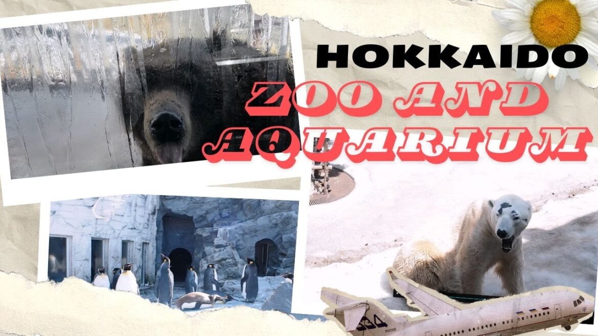 Hokkaido Zoo and Aquarium April 2024